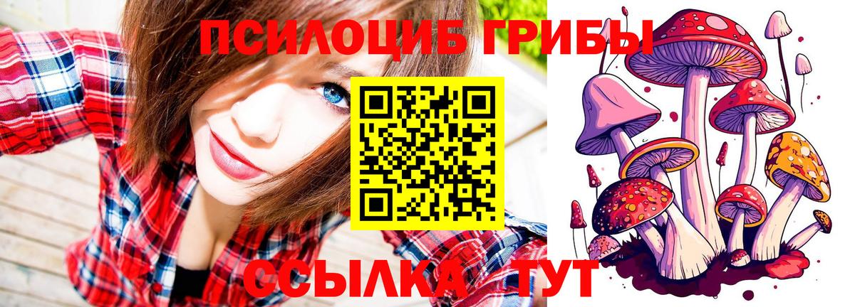 Псилоцибиновые грибы Magic Shrooms  Вход с VPN  где продают наркотики  Артёмовский 